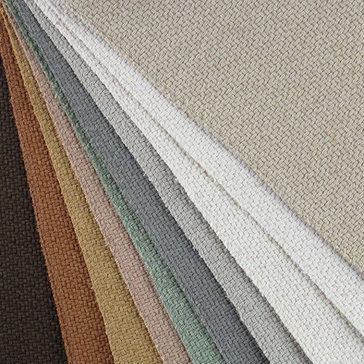 Picture of Dinara Colorline