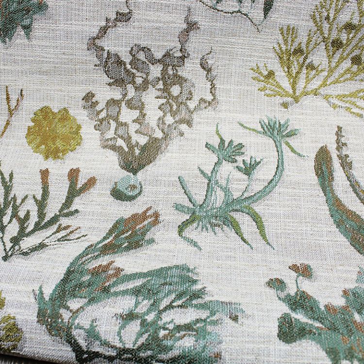 Picture of Beaujardin Express Colorline