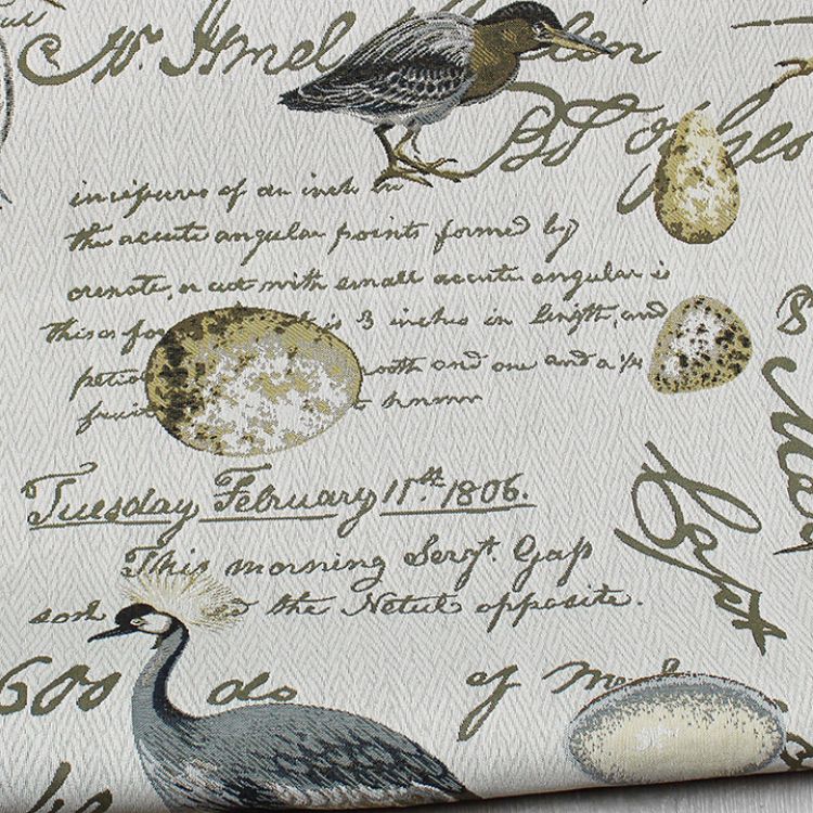 Picture of Birdsong Express Colorline