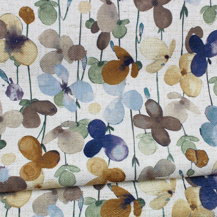 Picture of Gwynnie Express Colorline