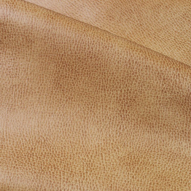 Picture of Idaho NPL Express Colorline