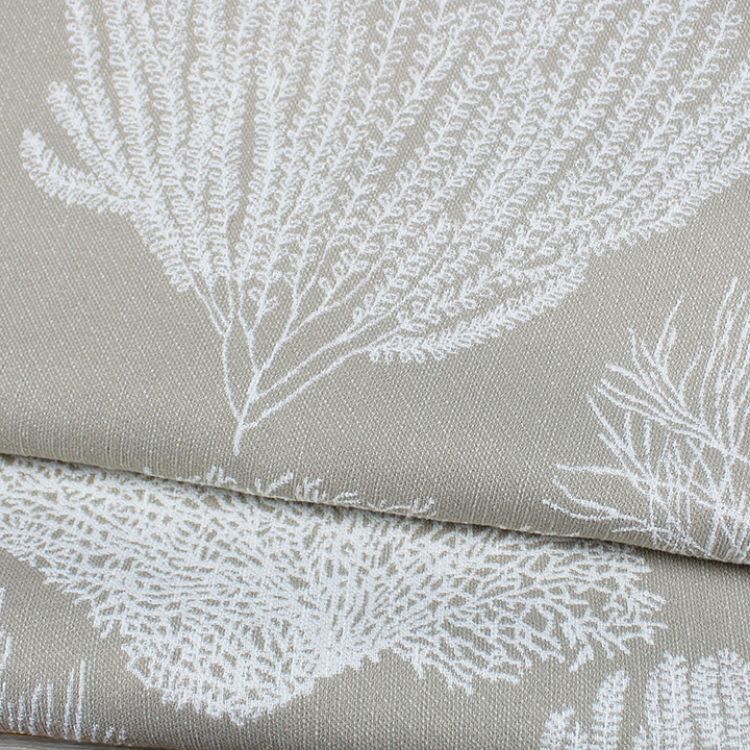 Picture of Ocean Front Express Colorline